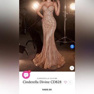 Cinderella Divine CD828 dress